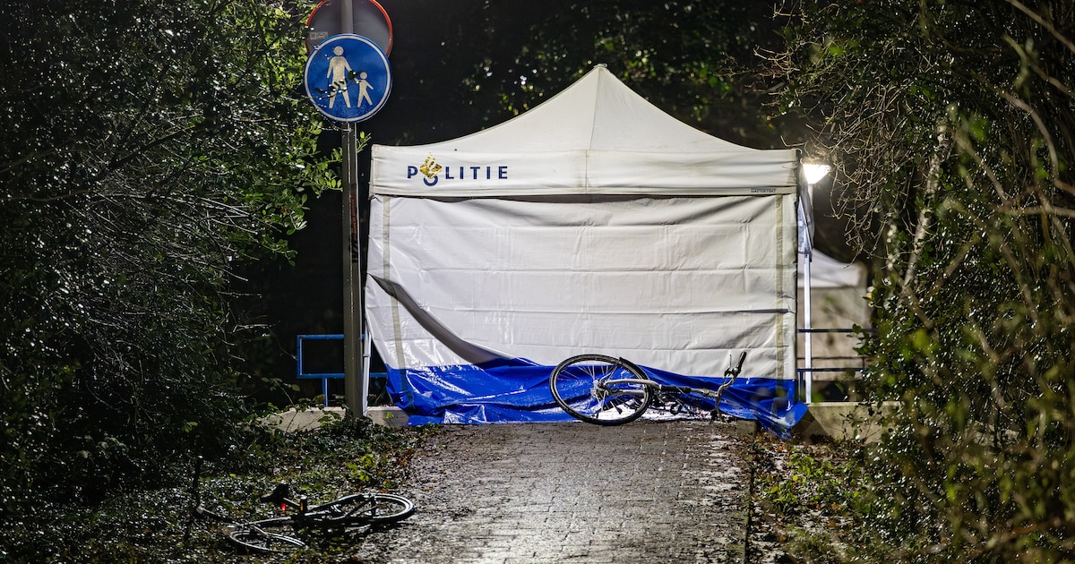 De verdachte van het doodschieten van twee Syrische tieners was gedwongen zorg bevolen. Hoe werkt da