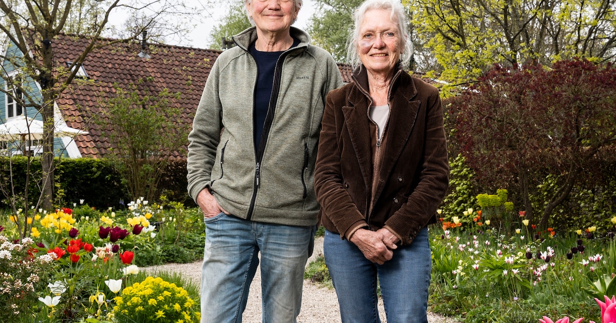 De geheime tuin van Weesp: hoe Niek Roozen en Jacqueline van der Kloet een wildernis omtoverden in e
