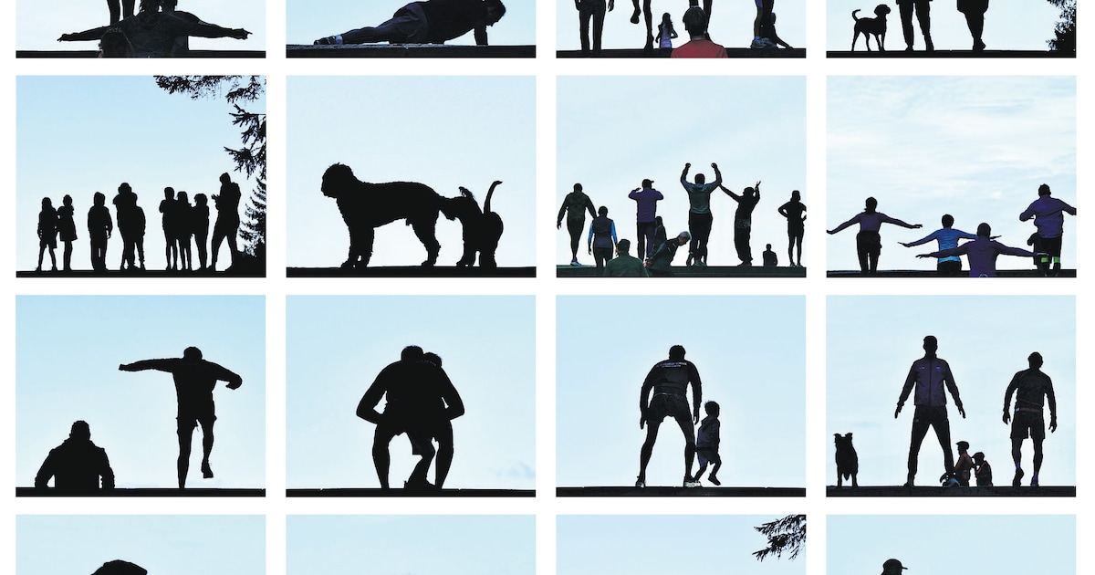 De Verzameling: hardloopclubjes op de heuvel in het Amsterdamse Bos