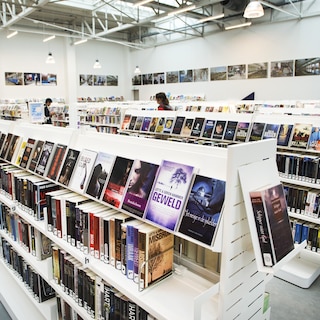 Clyde S. (52) placed toxic mothballs in children's corner of OBA De Hallen to 'ward off evil spirits'