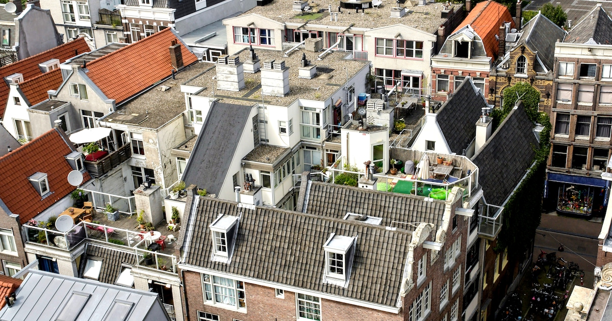 Ecoloog ziet uitgekiende mogelijkheid voor daktuinbouw in Amsterdam: ‘Wat is er mooier dan eten van 