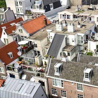 Ecologist sees smart potential for rooftop farming in Amsterdam: ‘What’s better than eating from your own roof?’
