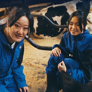 Nipkowschijf award goes to adoption docuseries De Afhaalchinees