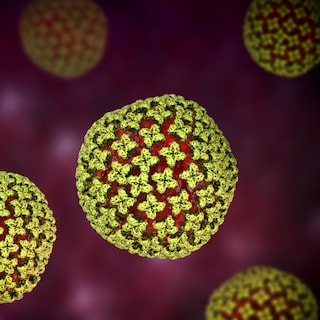 Infectious disease specialist Bram Goorhuis of Amsterdam UMC on hantavirus: ‘This is not like COVID, our healthcare system can handle this well’