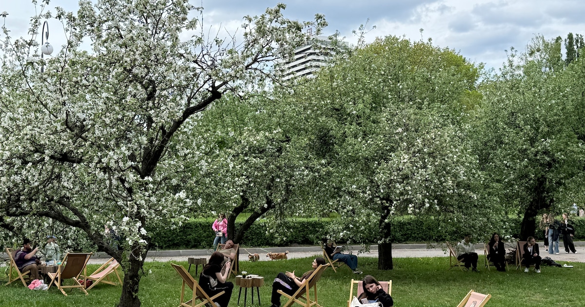Staakt-het-vuren of niet, in Kyiv vieren mensen de lente: ‘Het is niet goed, maar we wennen aan oorl