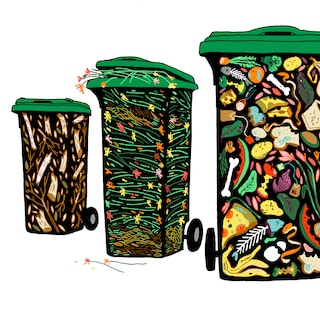 Wheelie bins are back in Amsterdam, but not everyone is embracing the green organic waste bin