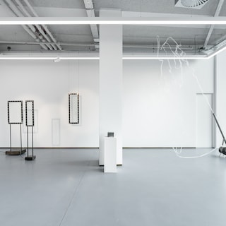 Artist Zoro Feigl tests the laws of nature: ‘I keep seeing things I want to do something with’