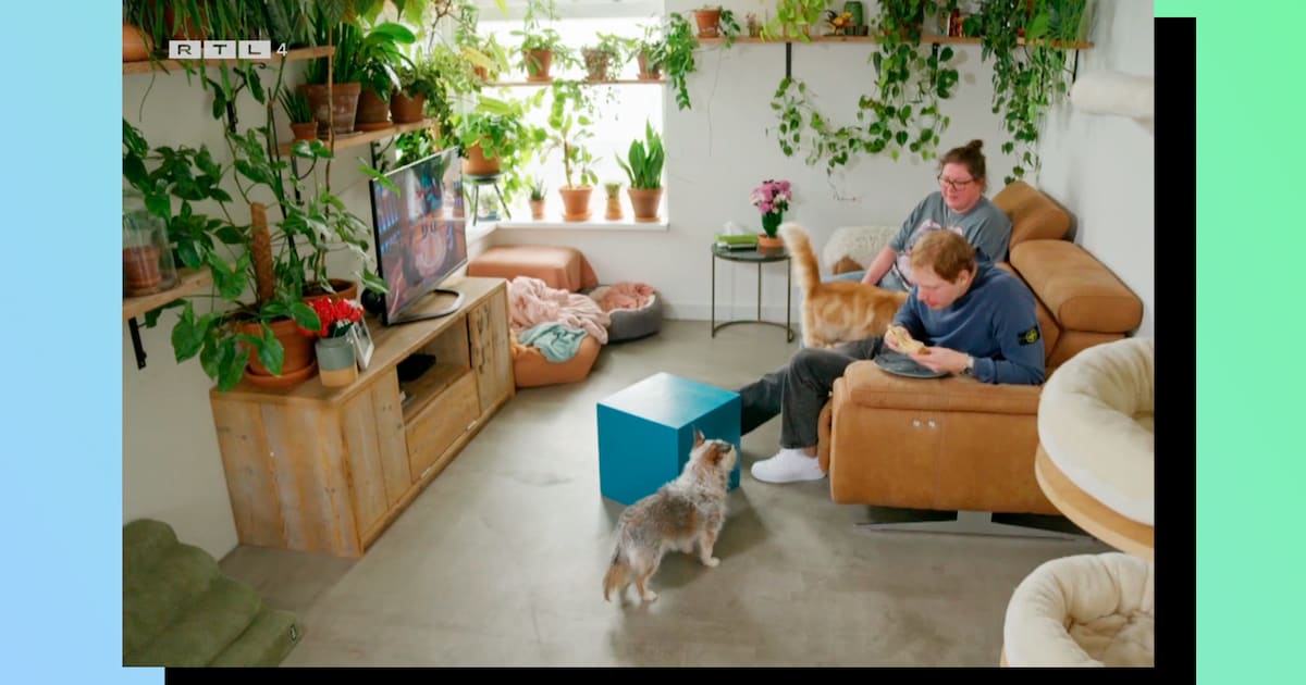 Zonder de pakweg 150 planten van de vorige bewoner leek het appartement van Veronique ineens een stu