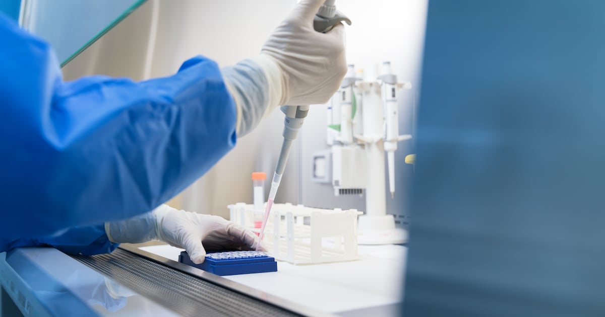 Twee dagen na een verkrachting is veel dna-bewijs lastig te vinden – maar er is mogelijk een oplossi
