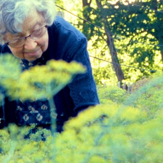 Amalie Atkins created a film monument to her aunt Agatha (90) with ‘Agatha’s Almanac’: ‘She does everything her own rebellious way’