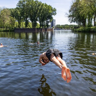 Swimming water at Gaasperplas, Nieuwe Meer, and Het Twiske heavily polluted with chemicals: 'The government is not taking action'