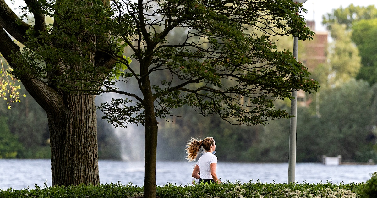 De openbare ruimte is voor vrouwen nog steeds minder veilig dan voor mannen: ‘Je schrikt, het is vie
