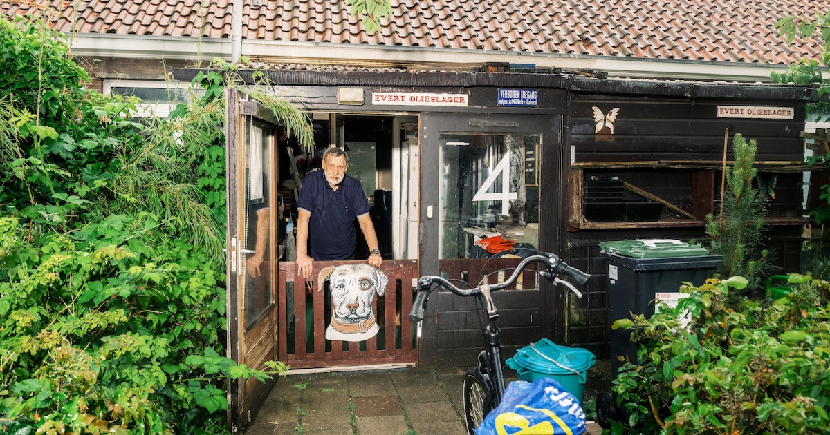 In dit dorpse stukje Amsterdam willen bewoners niet wijken voor sloop: ‘Ik ga alleen in een houten p