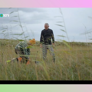 Only 16 people on Terschelling have picking rights: only they may harvest cranberries