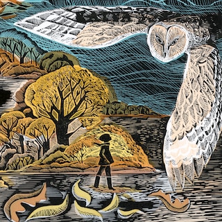 Review: ‘October, October’ is a breathtaking youth novel about nature, loss, and acceptance