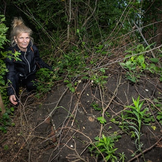 Tamara Muller saves Amsterdam hedgehogs: ‘A few minutes after I’ve refilled the bowls, I often already hear them crunching’