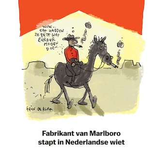 Hein de Kort