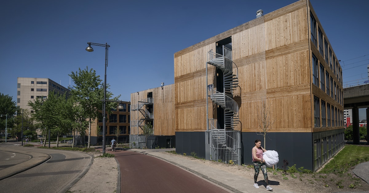 Studio’s voor studenten zijn een goudmijn, ontdekken investeerders