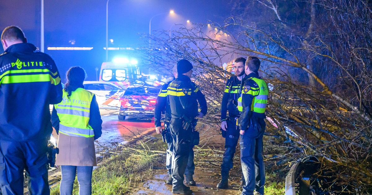 Spookrijden en een dollemansrit dwars door Nederland: celstraffen voor Brit en Ier na diefstal in Am