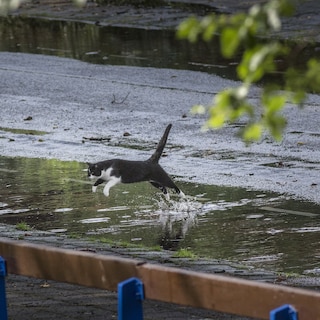 KNMI gaat stoppen met waarschuwen per provincie: ‘