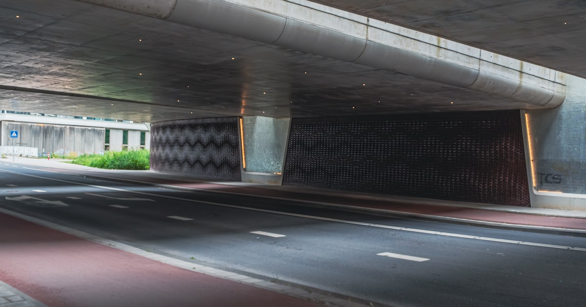 Deze uitnodigende spoortunnel met sterrenhemel in Oost heeft een bijvangst: het galmt er nauwelijks