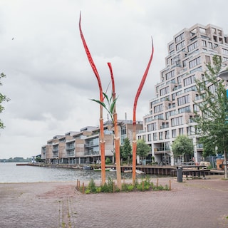 Coconuts and chewing gum: reed stalks summarize the history of Cruquius Island