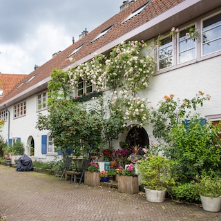 Residents find it incomprehensible that Amsterdammers don't visit Betondorp more often: ‘It’s a hidden gem’