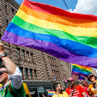 Eerste Kamer stemt voor verbod op ‘homogenezing’