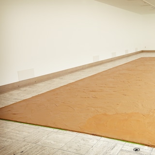 Boijmans and Stedelijk honor visual artist Wim T. Schippers