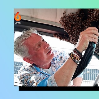 'Normally they sit in the passenger seat,' said the beekeeper with a straight face