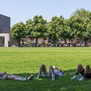 After a ‘cool’ Tuesday, mercury rises to 37: Amsterdam heading for possible super heatwave