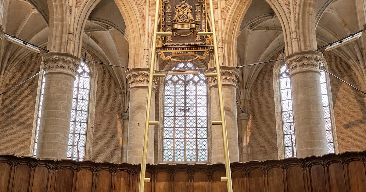Poëtische installatie in Grote Kerk Alkmaar: ‘Afhankelijk van de stand van de zon verschijnt of verd