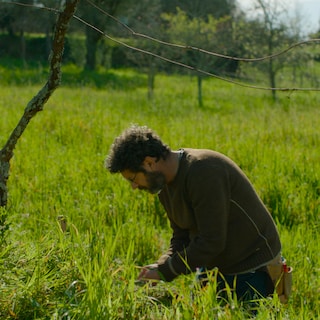 Gentle and refreshing The Portuguese House is full of characters who have reinvented themselves