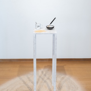 Stedelijk Museum exhibits final work by Wim T. Schippers: Wim is gone