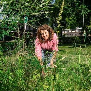 Karen Herder from Amsterdam-Noord wins city prize for most biodiverse facade garden: ‘I wanted a nursery for caterpillars and butterflies’