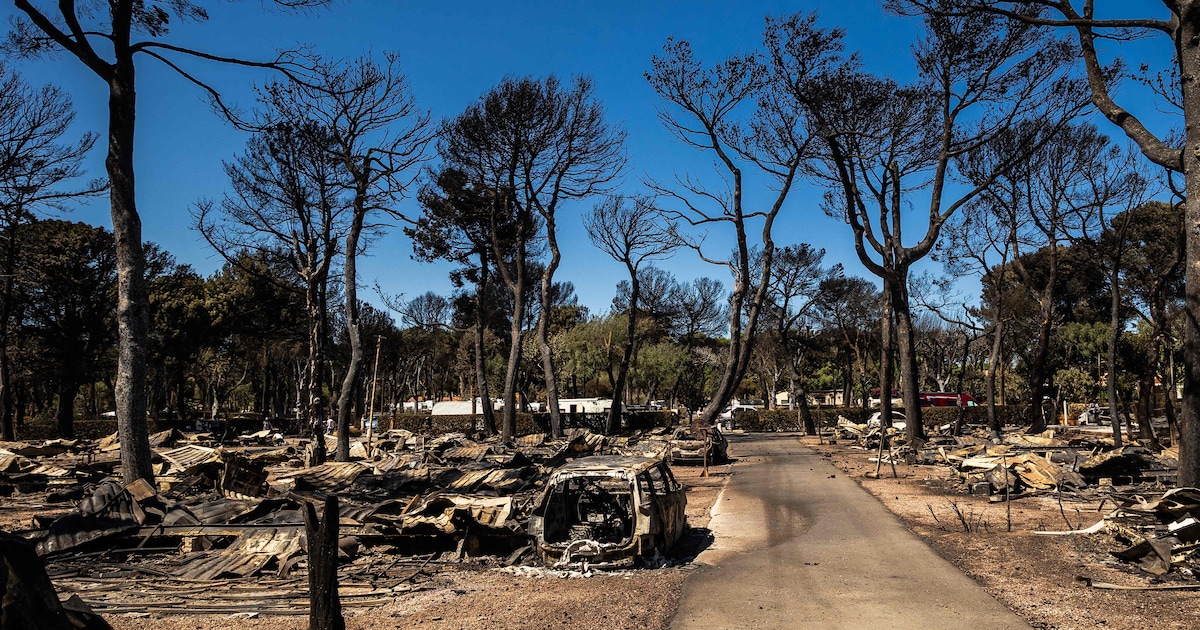 Bosbranden Zuid-Frankrijk leiden tot massale evacuaties, al 4.500 hectare bos verwoest