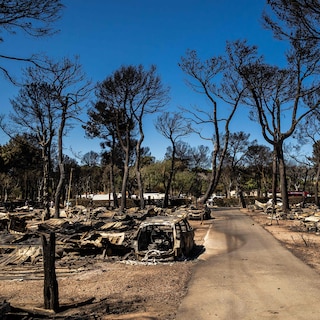 Bosbranden Zuid-Frankrijk leiden tot massale evacuaties, al 4.500 hectare bos verwoest