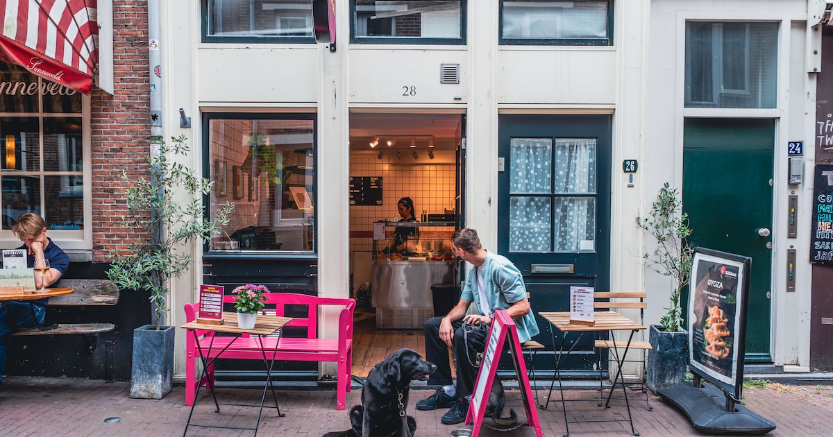 Salty Waffles verkoopt hartige wafels in de Jordaan: ‘Dat mocht toen we zeiden dat het niets met de 