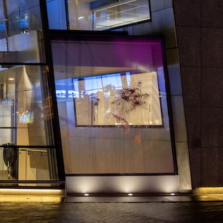 Judge: protester who defaced Van Gogh Museum was wrongly prosecuted