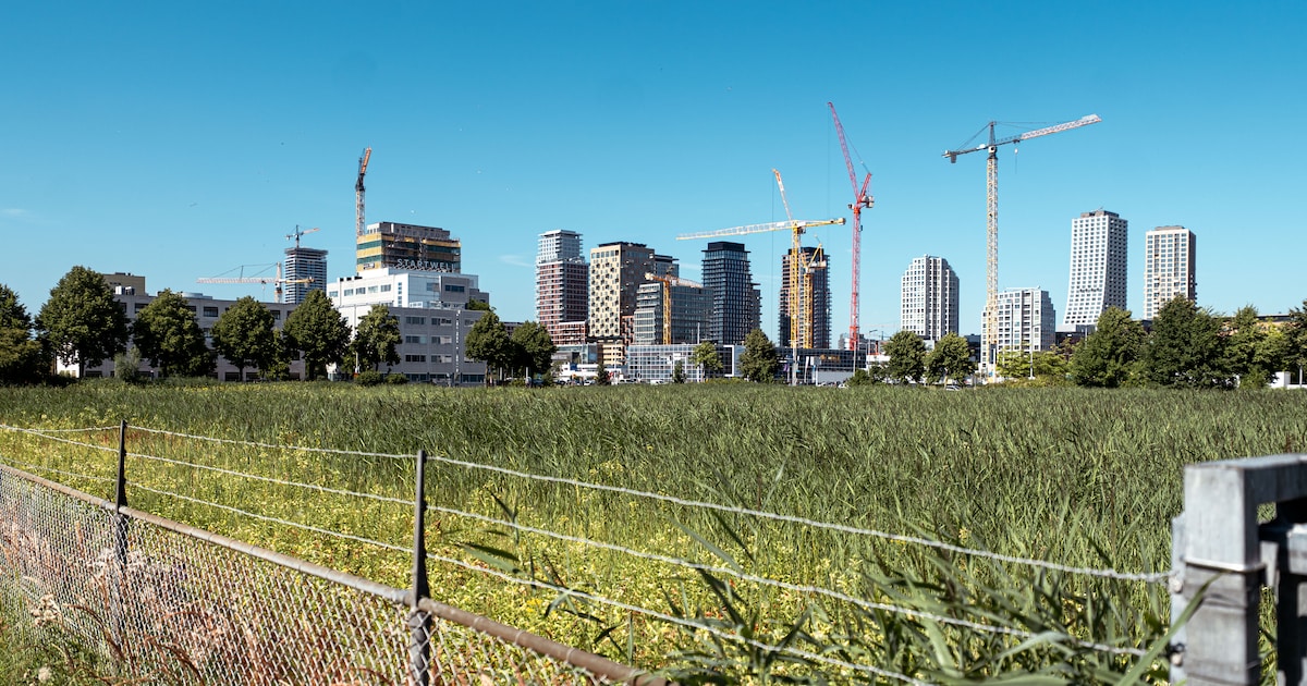 Opinie: ‘Het probleem met datacenters is dat Amsterdammers pas meepraten als de vergunningen al zijn
