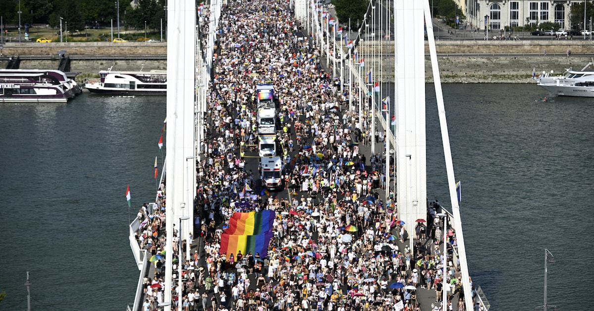 Feest of protest? Hoe Pride in Parijs, Madrid en Boedapest worstelt met dezelfde vraag als Amsterdam