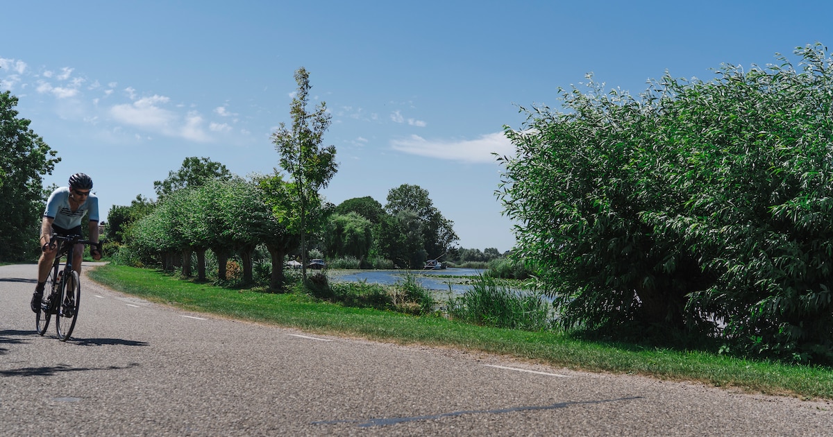 ‘De huidige situatie is levensgevaarlijk’: fietsroute Ronde Hoep moet veiliger – maar hoe?