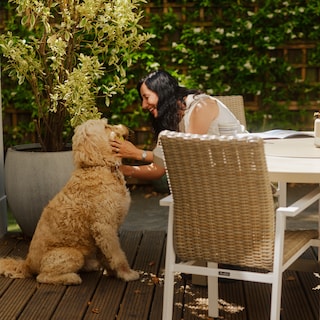 Nikki (57) met most of her friends in Amsterdam through her dog: ‘When you move countries, get a dog!’