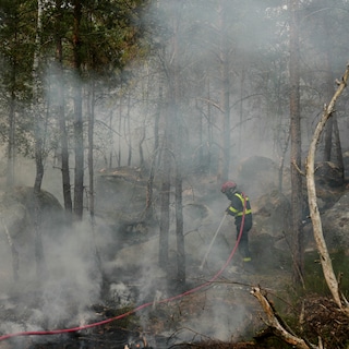 Bosbrand bij Parijs is aangestoken door brandweerman. Waarom? Pyromanen zoeken erkenning of bewondering