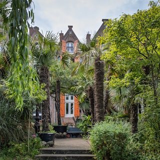 Amsterdam has the climate of Southern France: figs, kiwis and olives growing from the sidewalk