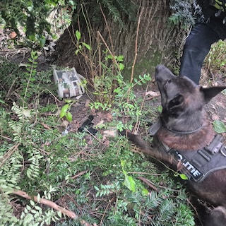 Two men arrested after threatening people with fake firearm in Vondelpark