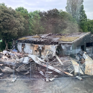 Twenty years of nature conservation work goes up in flames after fire at Middenmeer sports park: ‘We will really have to start over’