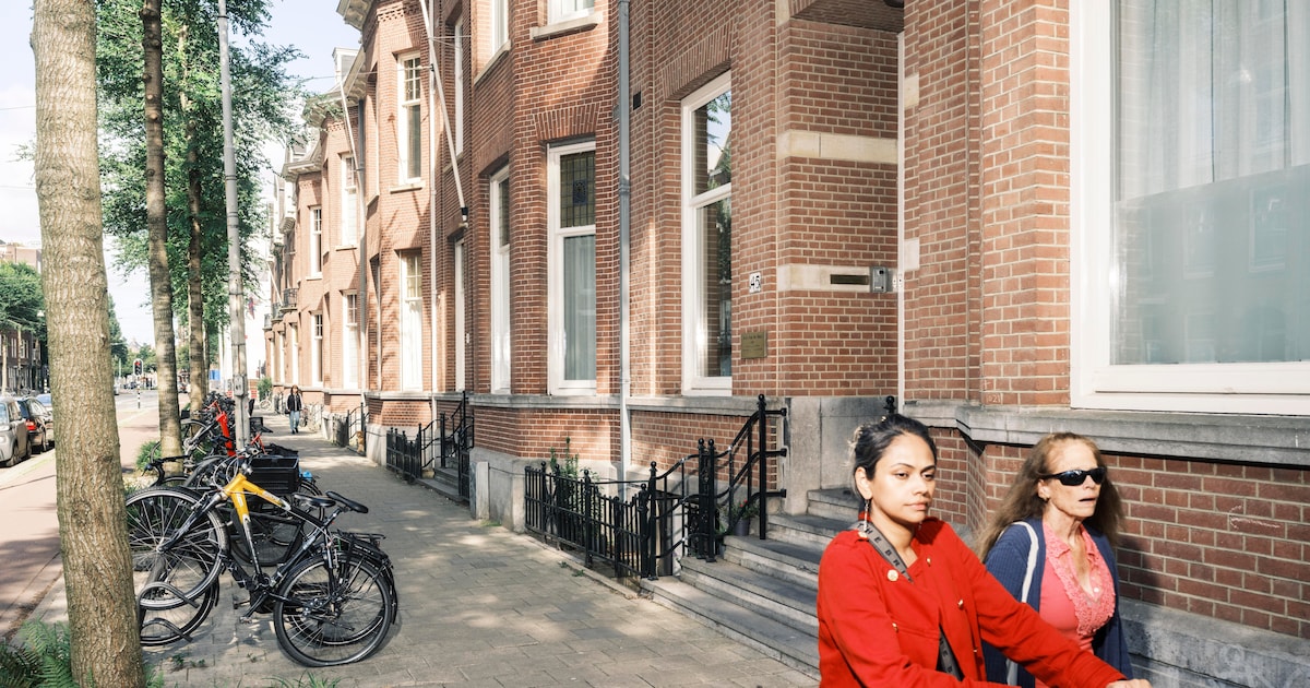 Amsterdam real estate agent advises buyer to gut the interior quickly before property is landmarked:
