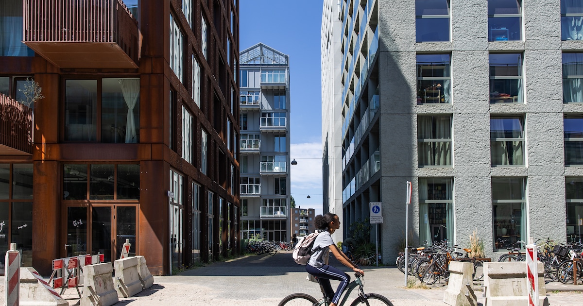 Fietsdieven teisteren Oostenburg: ‘Ik overweeg te verhuizen’