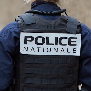 Media: Five dead newborn babies found in cardboard boxes in French home